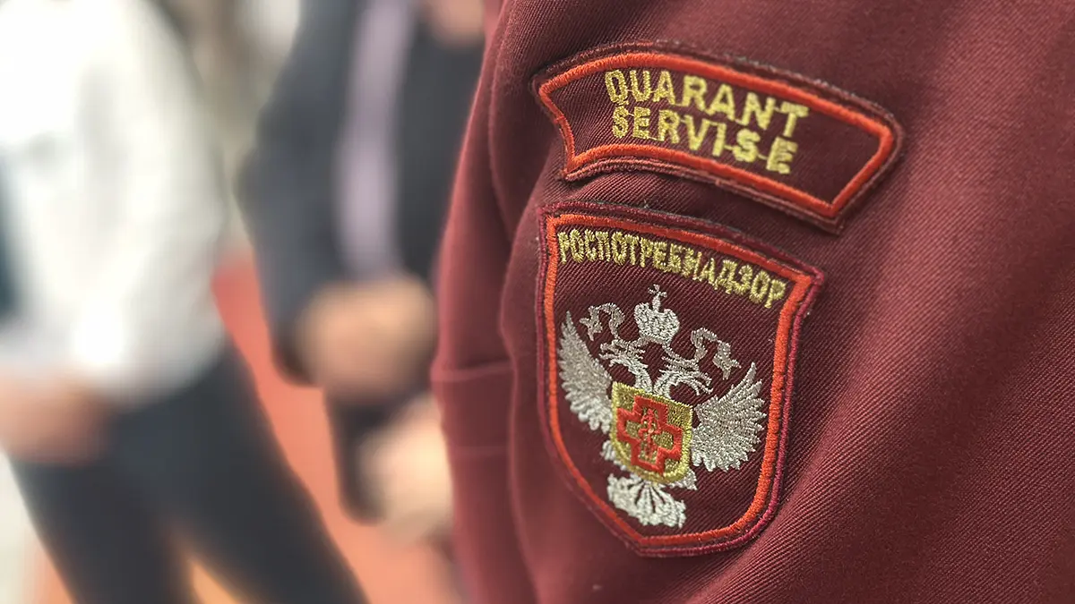 Роспотребнадзор: Пик распространения хантавируса Андес приходится на лето